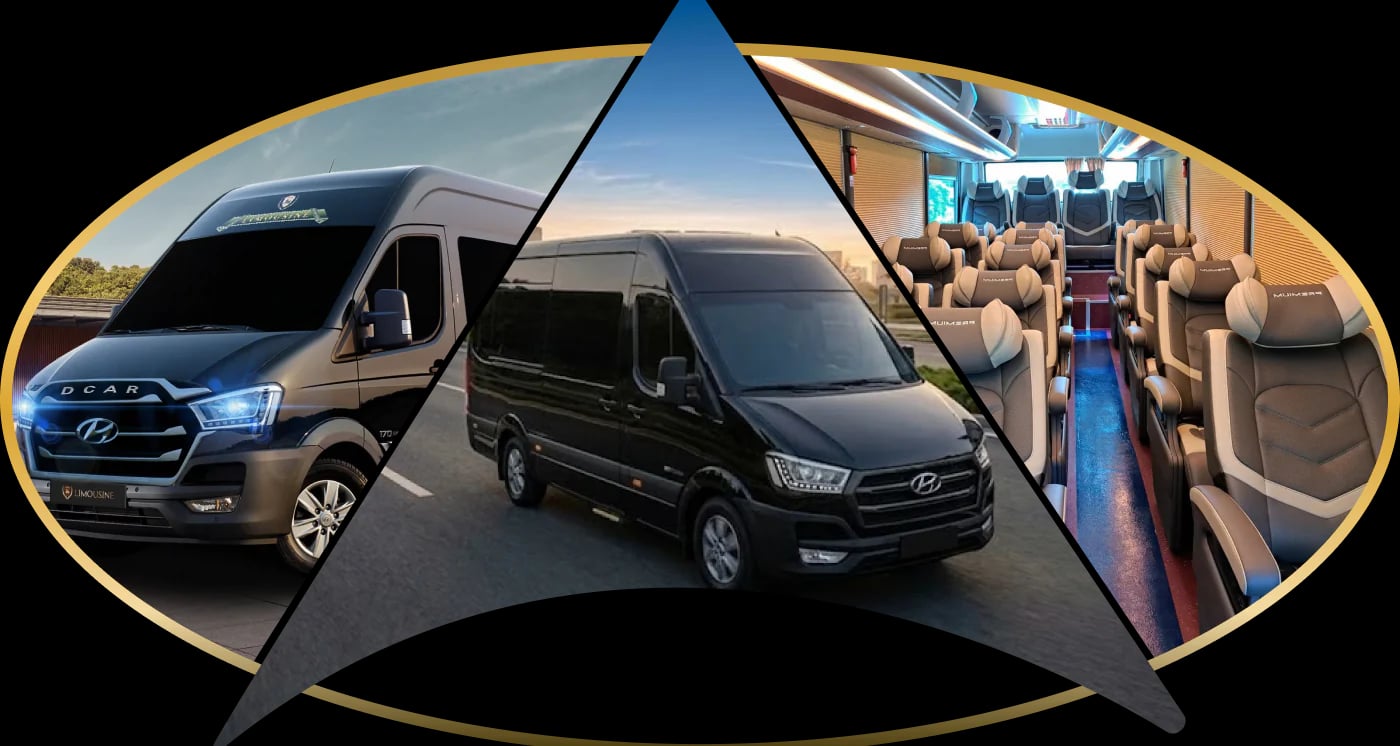 [TRANSLATED FROM Tiếng Việt TO English: Solati Limousine 10 ghế]