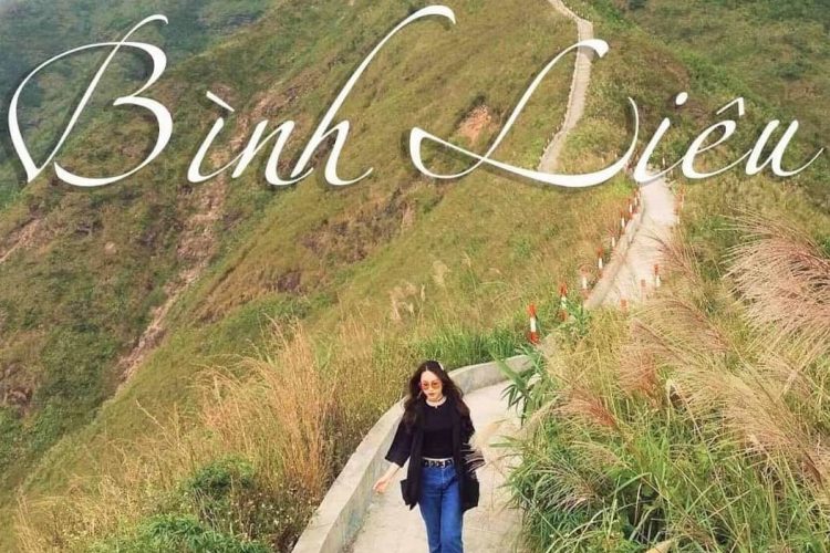 Thuê xe Limousine đi Bình Liêu