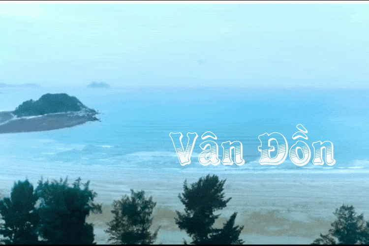 Thuê xe Limousine đi Vân Đồn