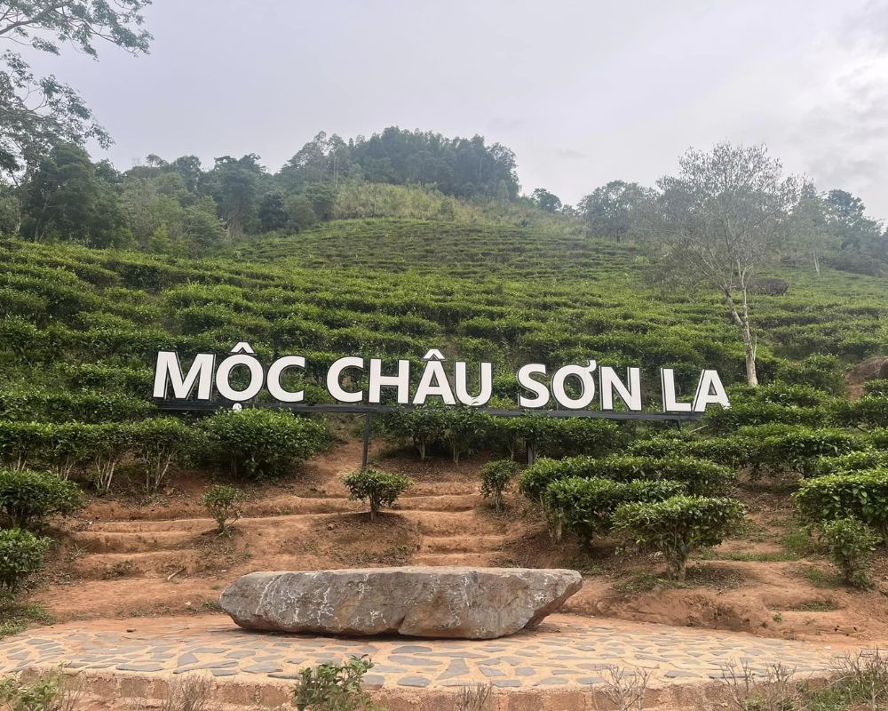 Du lịch Mộc Châu, Sơn La