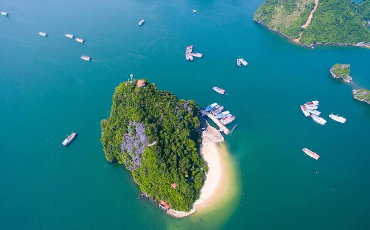 thuê xe limousine 9 chỗ hà nội hạ long