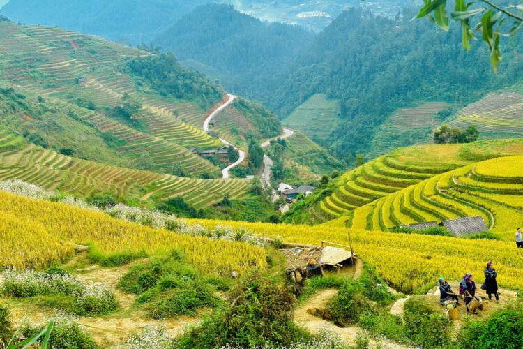 Thuê xe Limousine đi Mộc Châu