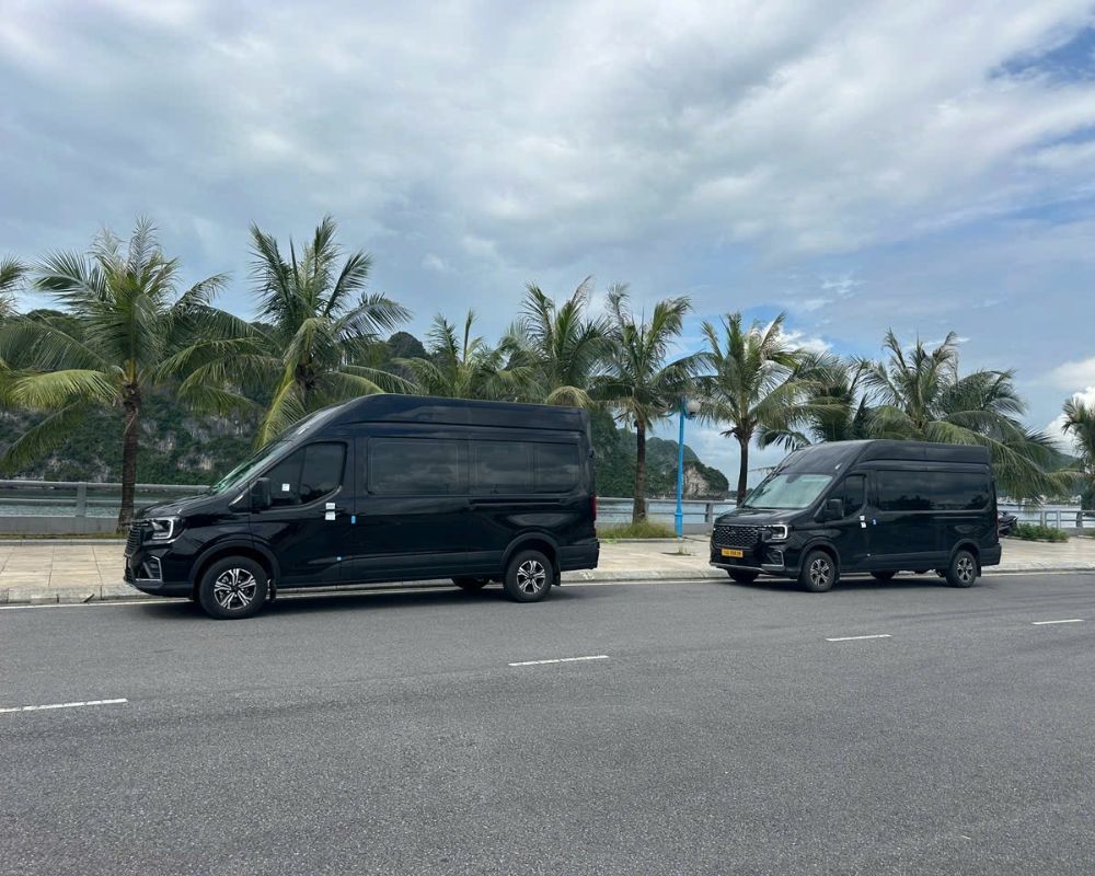 Xe Ford Transit 16 chỗ