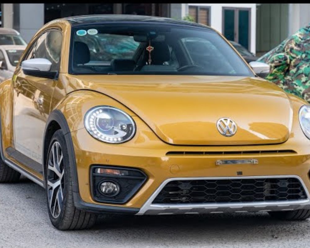 Xe Beetle Dune