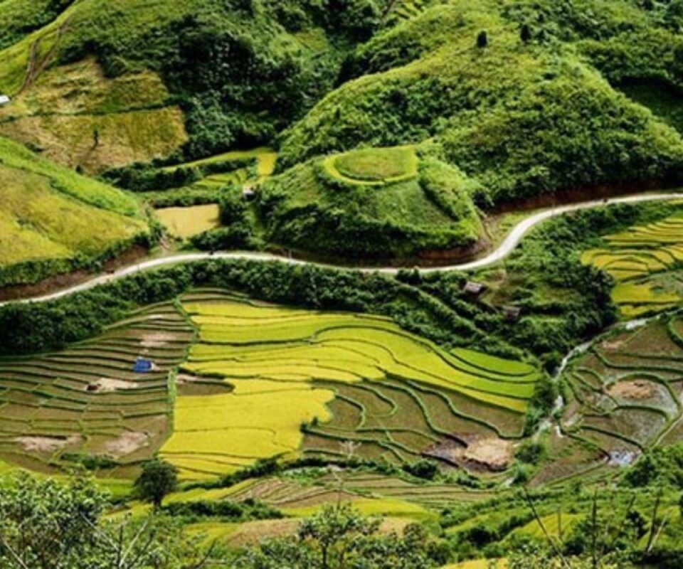 Cao nguyên Sìn Hồ