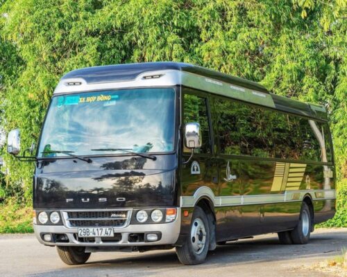 Cho thuê xe limousine Fuso Dcar 16 chỗ