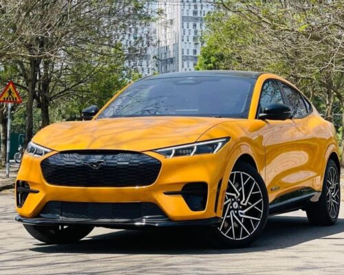 xe điện Mustang Mach-E
