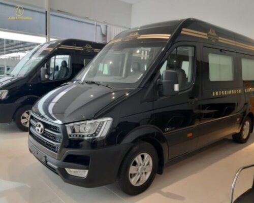 Xe limousine 9 chỗ đi Vinpearl Cửa Hội