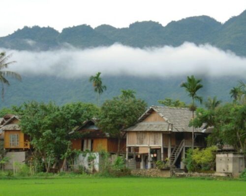 Bản lác