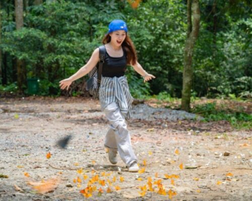 Cô gái chụp ảnh cùng với đàn bướm xinh đẹp tại Cúc Phương