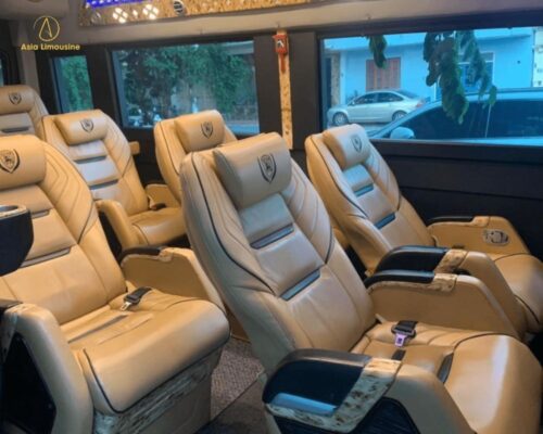 Ghế ngồi xe limousine 100% bọc bằng da