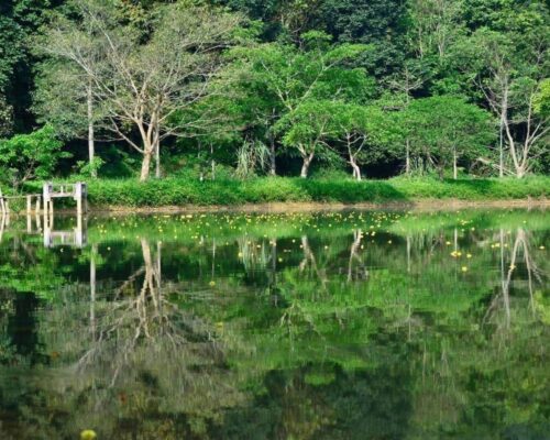 Vườn quốc gia Cúc Phương