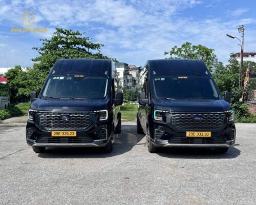 Xe Dcar limousine 9 chỗ