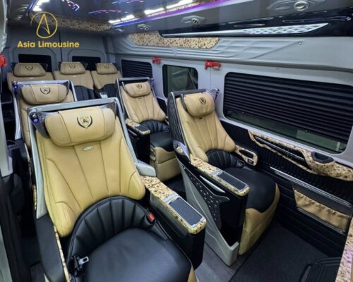 Ghế ngồi xe limousine sang trọng, được bọc bằng da