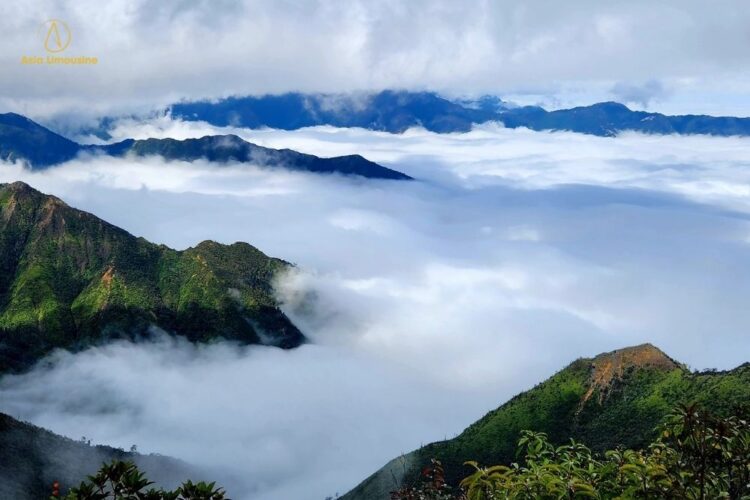 Tà Xùa Cách Hà Nội Bao Nhiêu Km