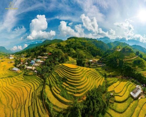 Thung lũng Mường Hoa