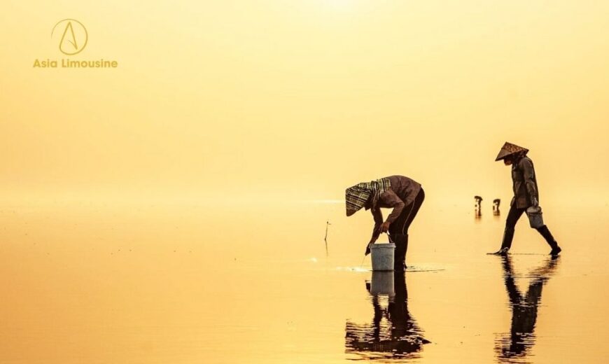 Biển Vô Cực Thái Bình