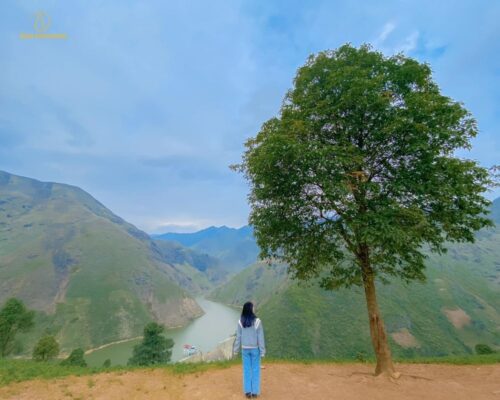 Ghé thăm cây cô đơn với  mỏm Cá Heo trong chuyến đi đến Tà Xùa