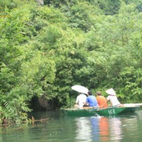 Kênh Gà Ninh Bình