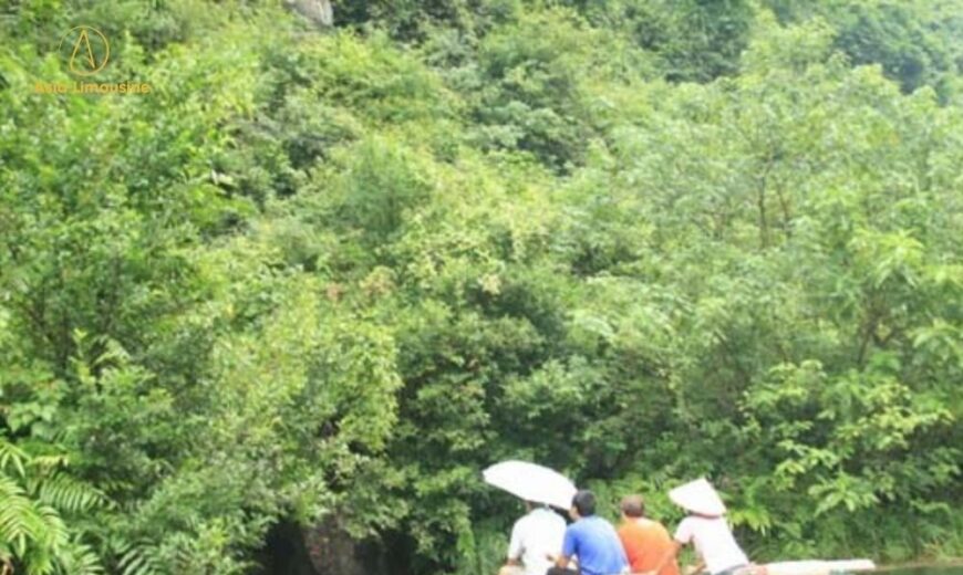 Kênh Gà Ninh Bình