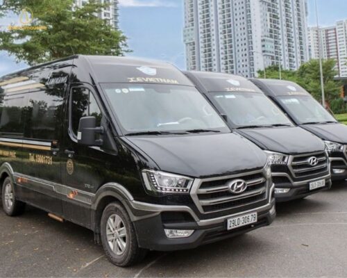 Thuê xe Dcar limousine 9 chỗ đi Ninh Bình