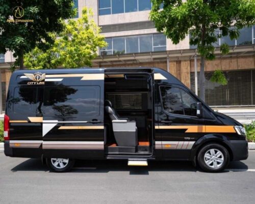 Xe 12 chỗ Solati Limousine